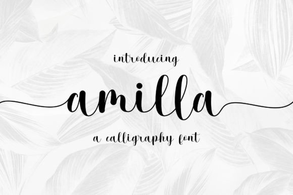 Amilla: A Handwritten Font for Editorial Charm