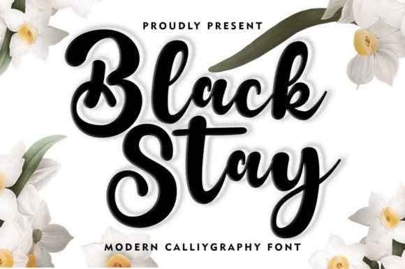 Black Stay: A Bold and Exquisite Handwritten Font for Creative Campaigns