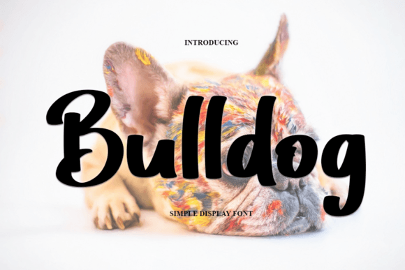 Bulldog: A Modern Handwritten Font for Engaging Visuals