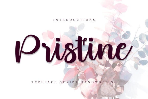 Enhance Your Brand with Pristine: A Modern Handwritten Font