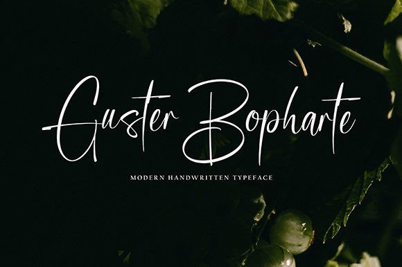 Enhance Your Web Design with Guster Bopharte Font